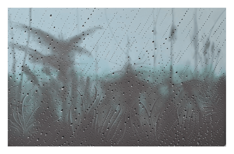 Untitled 009 by Cleverson O