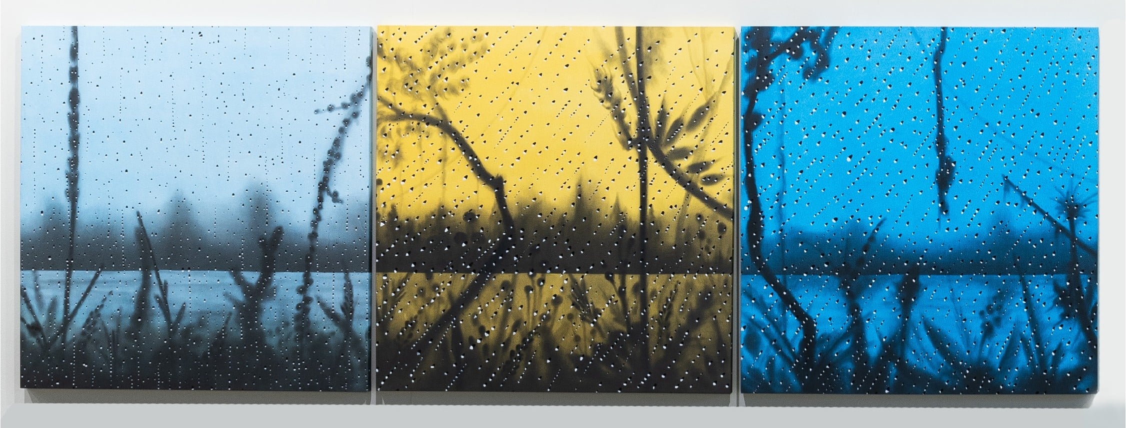 Iguaçu (Triptych) by Cleverson O