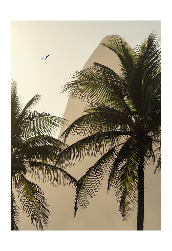 Untitle by Luiz Bhering