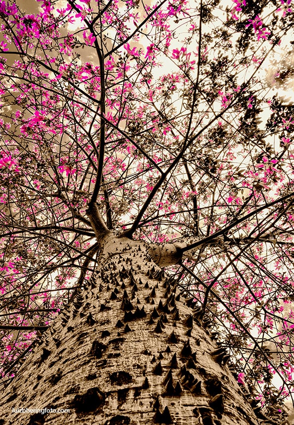 Untitle 4 by Luiz Bhering