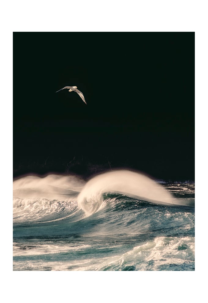 Untitle 11 by Luiz Bhering