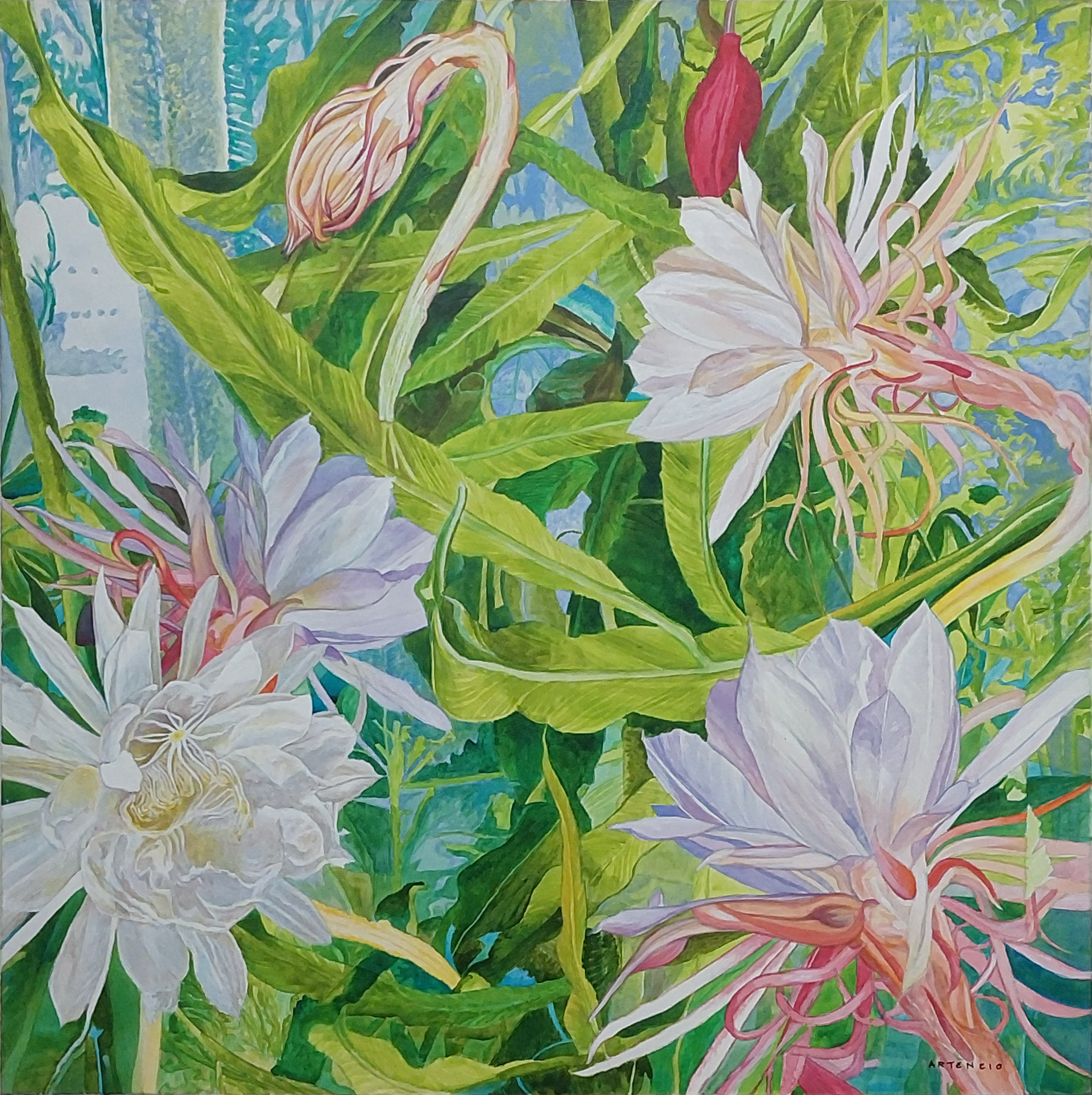 Cactus Fauvista by Artencio