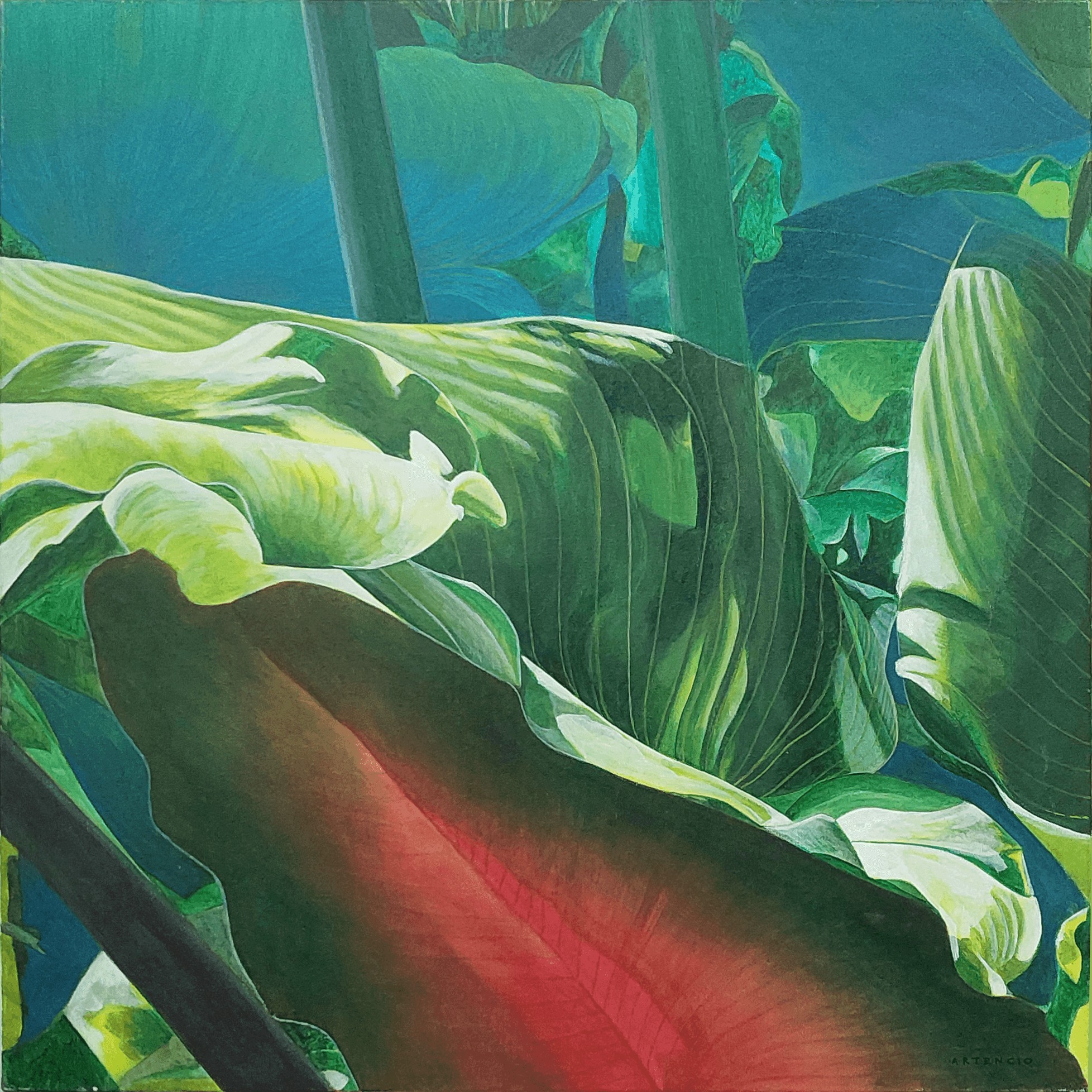 Carai by Artencio