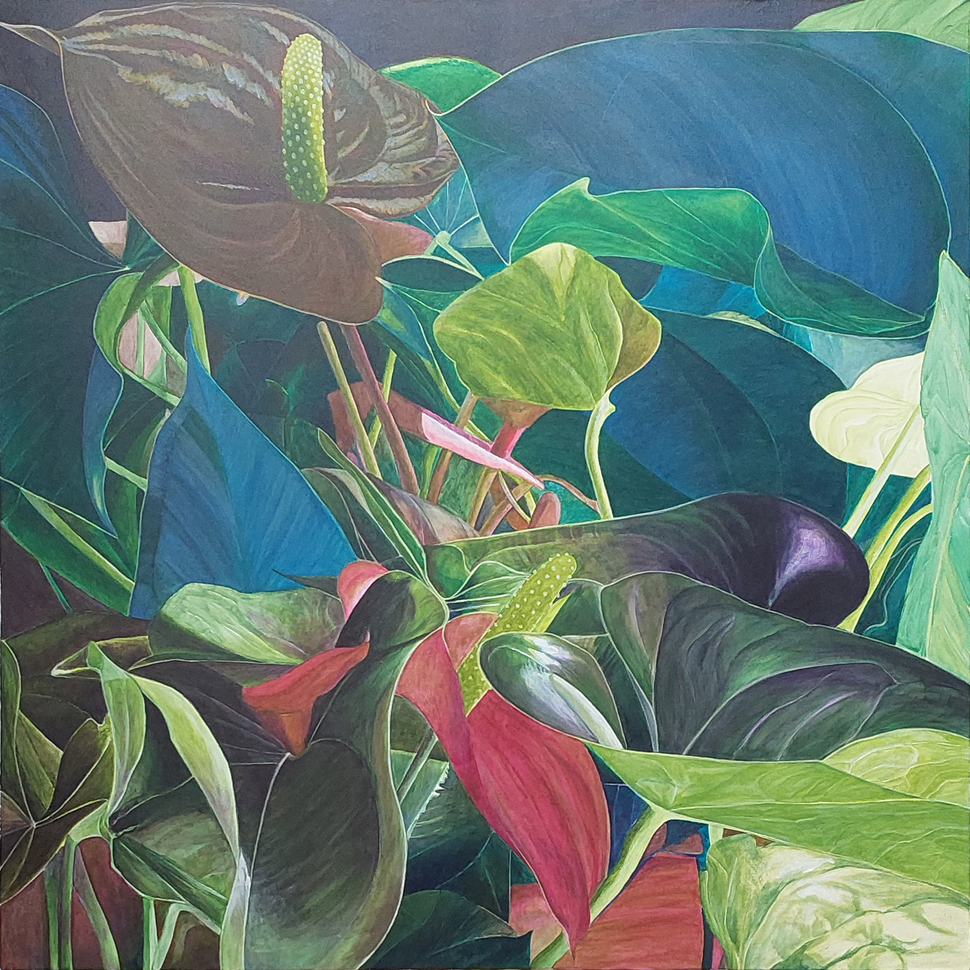 Antúrio Negro by Artencio